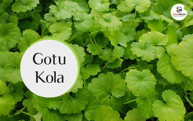 Gotu Kola